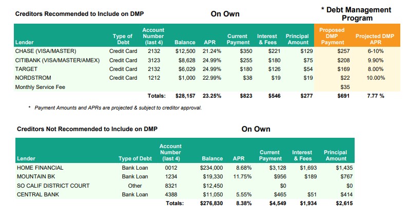DebtWave Financial Analysis Report