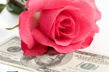 Money Roses and Thorns