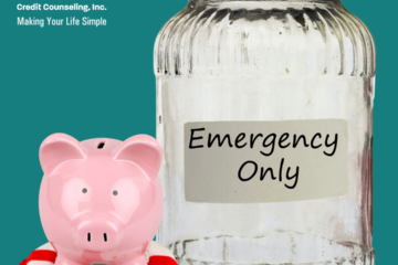 Lack of Emergency Savings