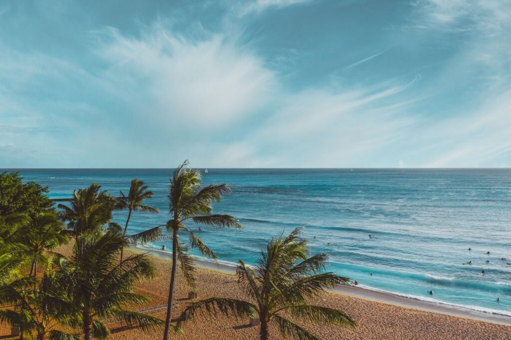 A serene tropical beach with palm trees and clear blue sea stretching to the horizon